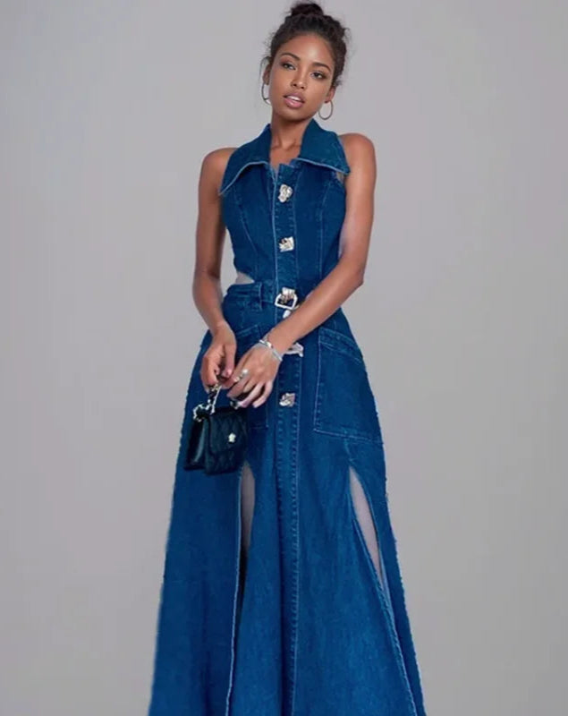 DERRY DENIM DRESS
